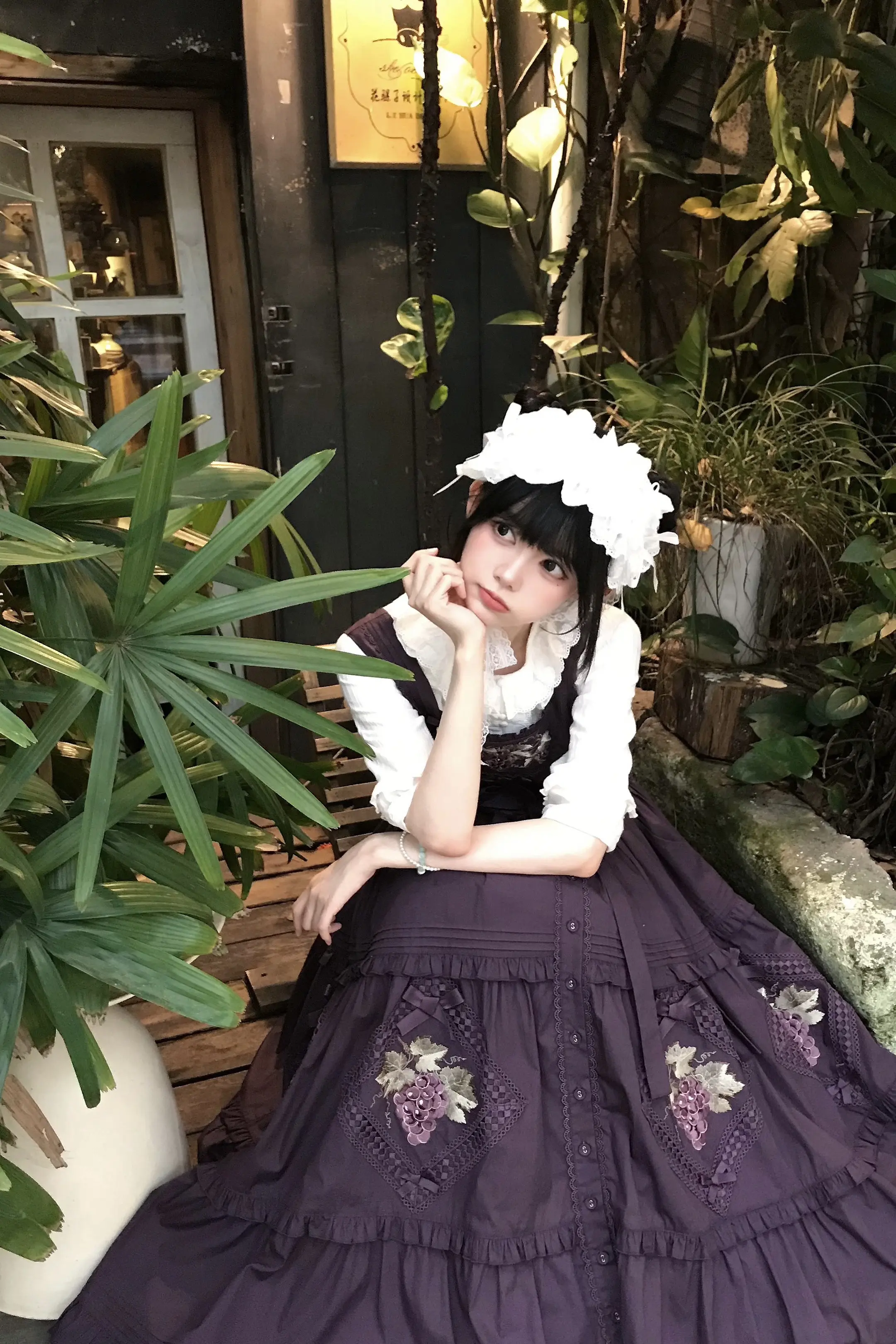 🍇  |  山丘上的葡萄藤 *⋆。. .   ← 🍇