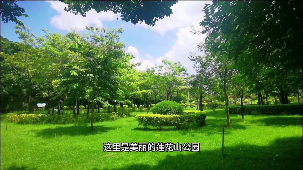 📸莲花山公园的惊喜发现！在莲花山公园偶然发现的好角度，蓝天、白云、绿草地，随手