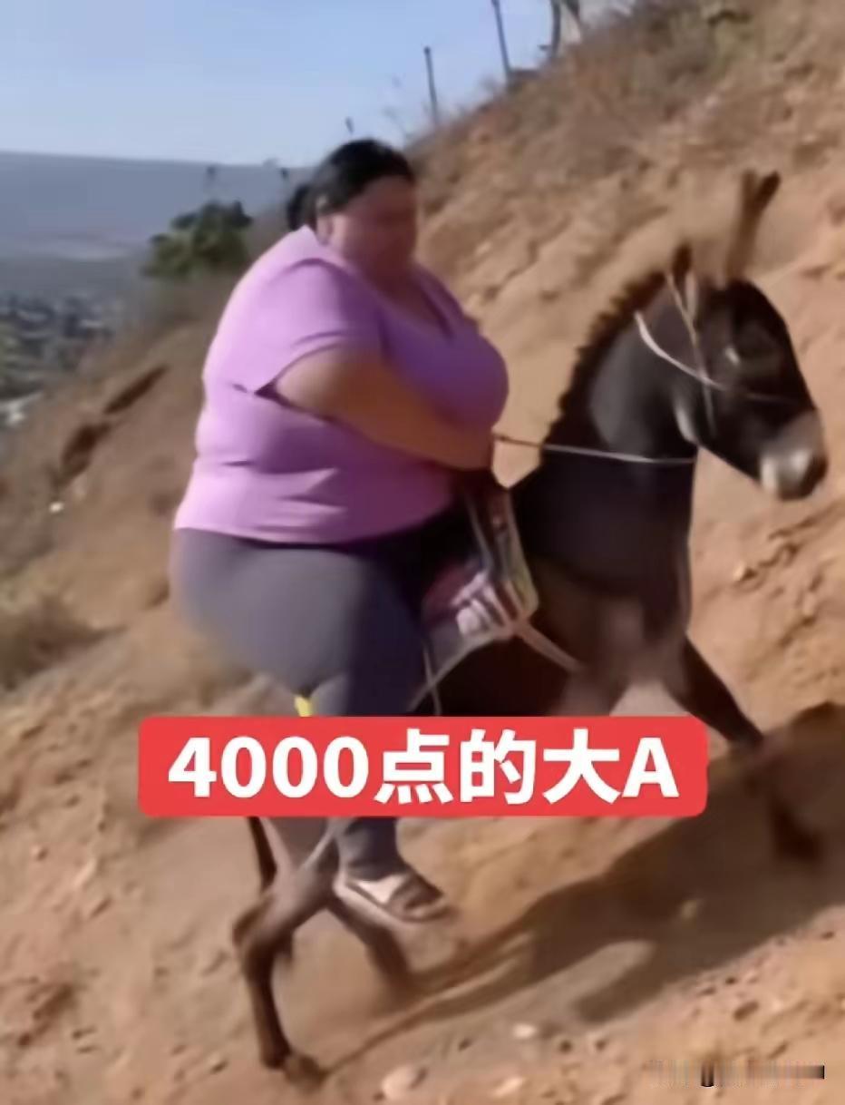 我们的市场都到4000点了，你骑上牛了吗？还是像图中的人一样呢？