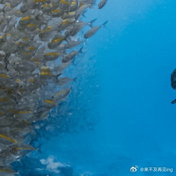 每日一善每日‬一善 阳光信用 善待别人，是一种优秀的品德，善待自己，是一种优雅的