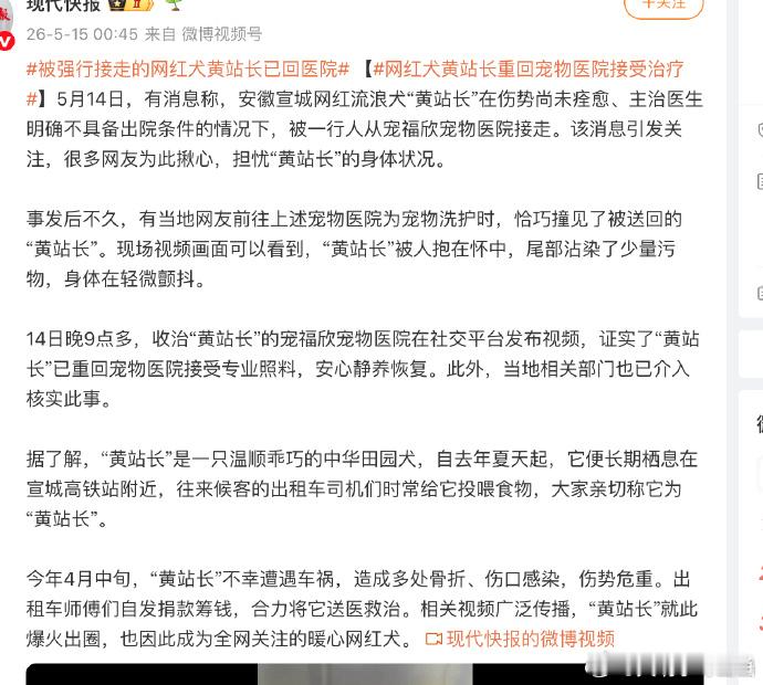 剧本安排：六一与小朋友们互动，七一在旗帜下不栓绳走一圈，八一再蹭一波，九十再强闯