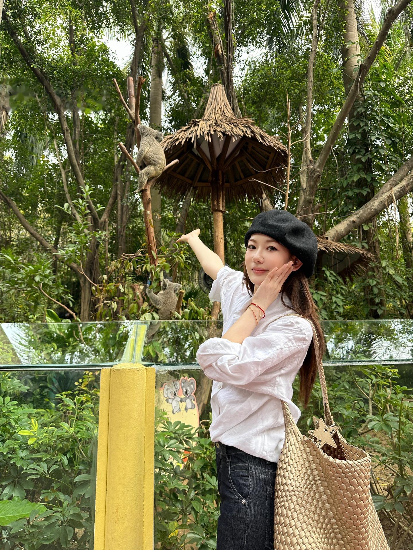 动物园里有什么🦒🐨🦩🐾