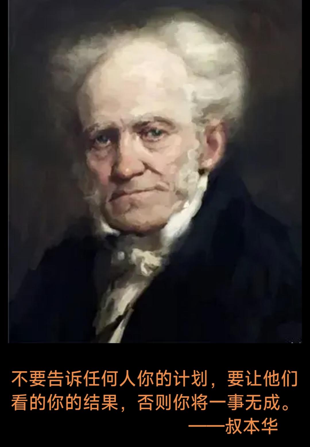 不要告诉任何人你的计划，要让他们看到你的结果……           叔本华