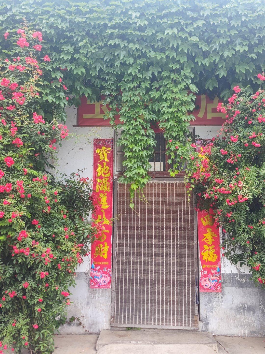 春天的浪漫是花花给的豫拍豫美 五一