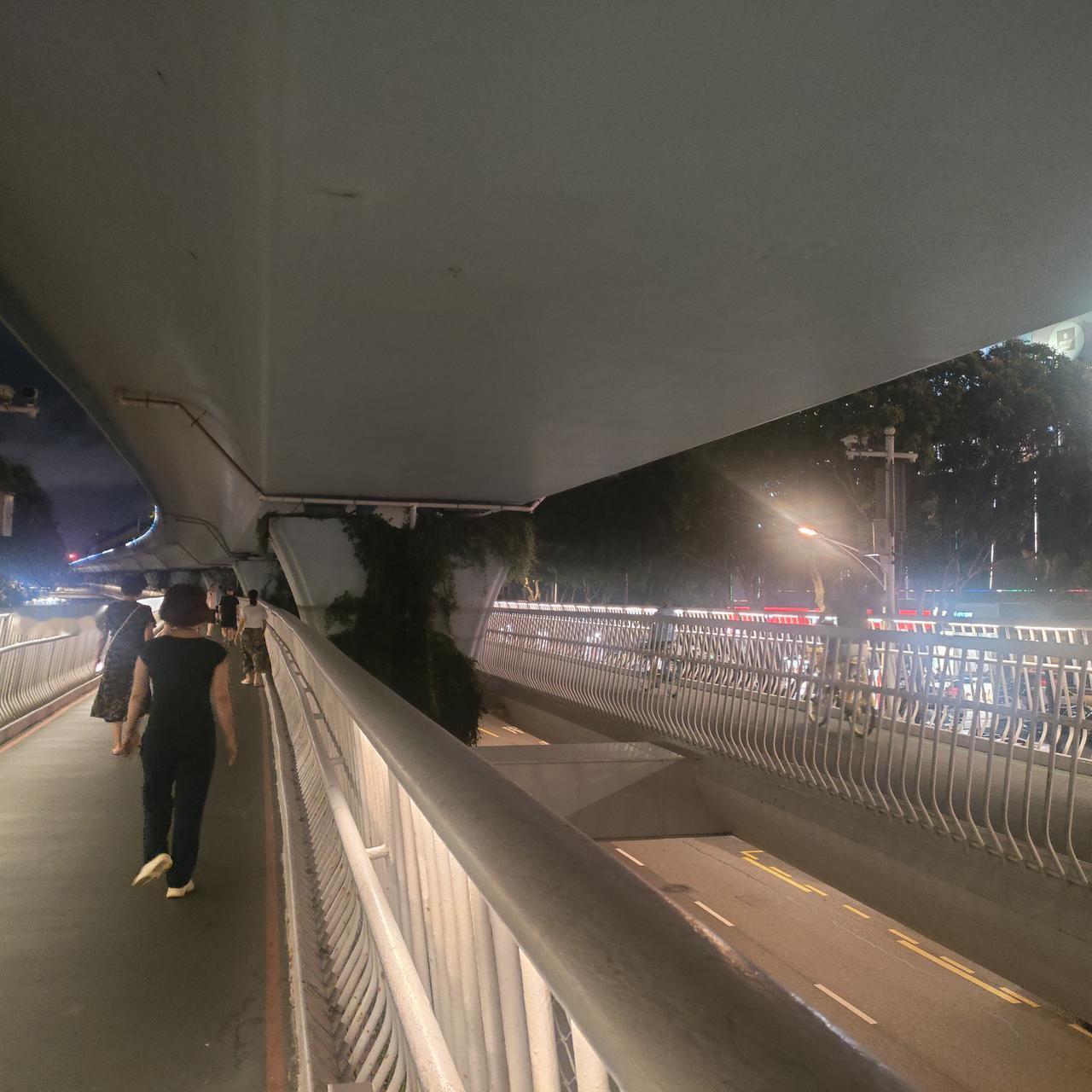 厦门的空中自行车道自从改了一道为自行车道，一道为人行道，感觉就活了。每天天气好的