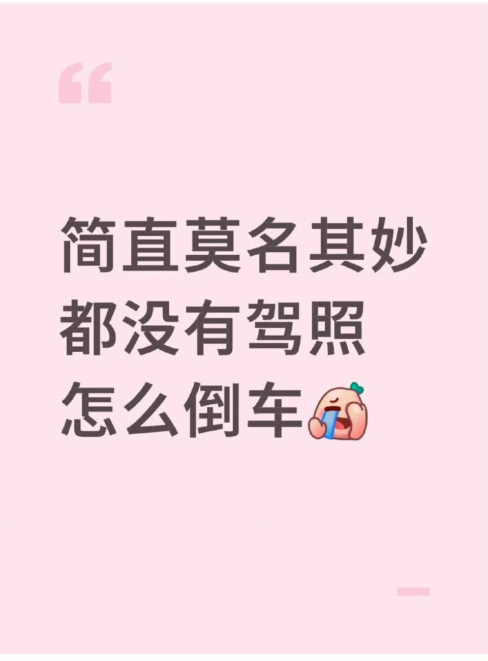 虞书欣没有驾照💎 总结虞书欣无驾照是既定事实，其作为乘客对2024年司机违规行