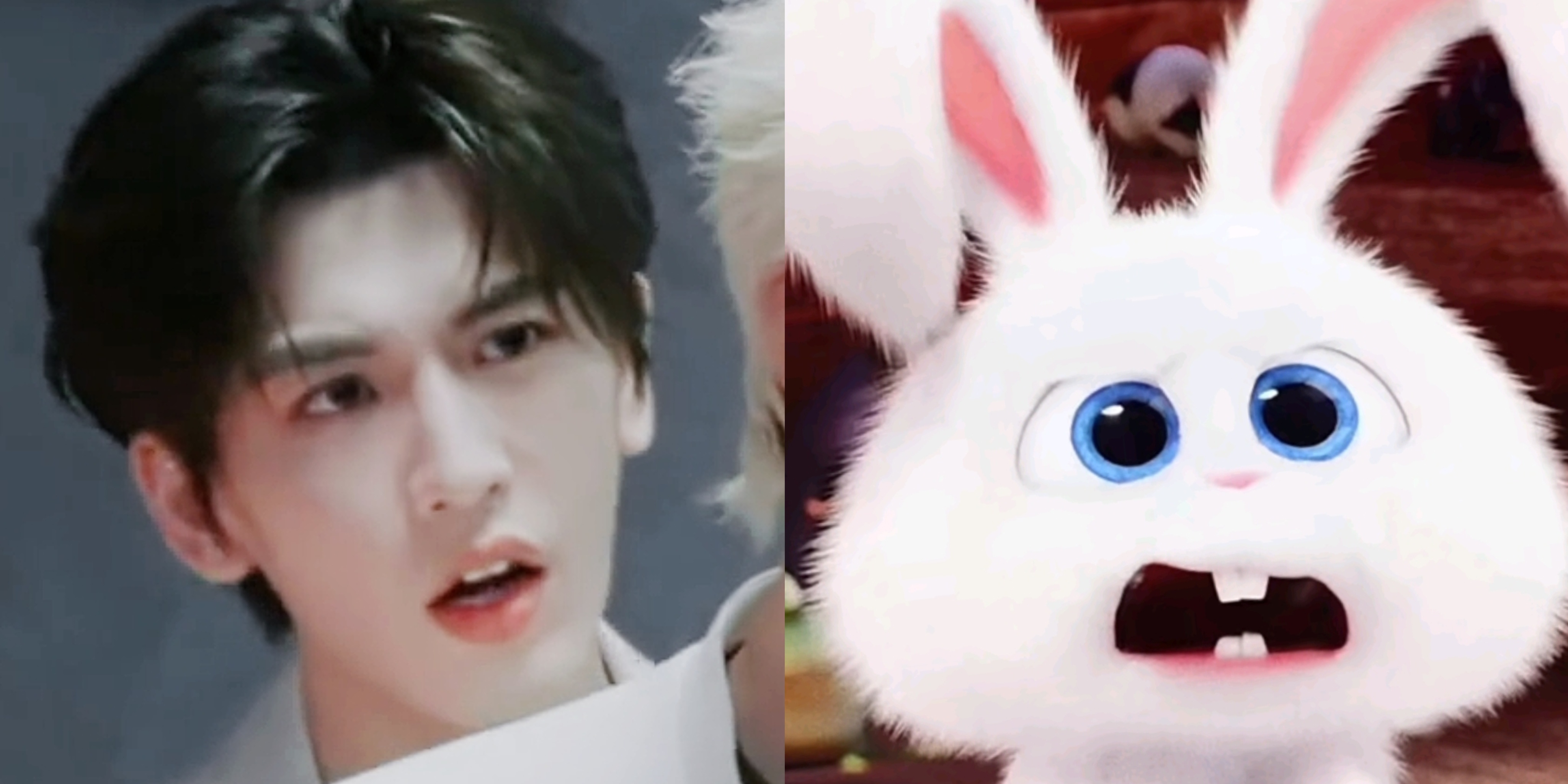 🐰 