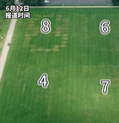白宫草坪冒出神秘数字 8647！正好赶在特朗普 80 岁生日前，全网都在猜是不是