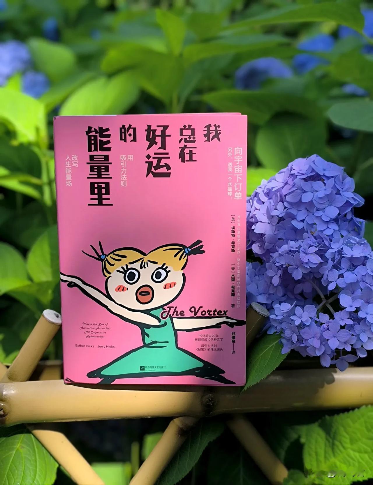 改命奇书：向宇宙下订单，这样做你也可以心想事成

《我总在好运的能量里》这是一本