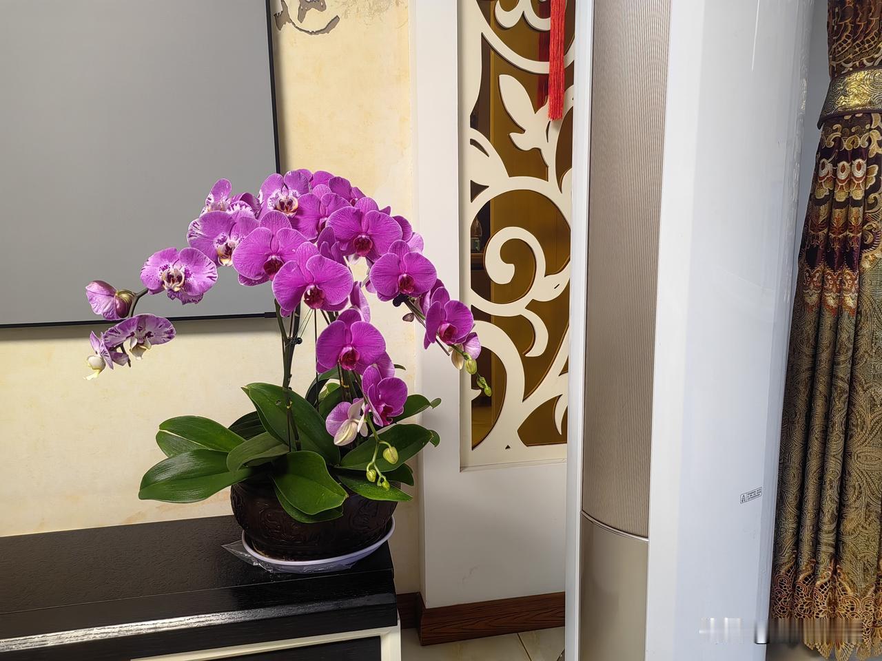 今天是立春，可是我却忙到起飞，也收获了意外惊喜，好兆头啊！

早上起床以后，简单