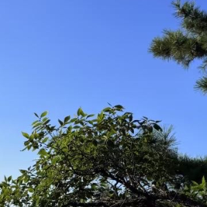 阳光信用[超话]  🌸阳光‬‬信用 🌸每日一善 不要轻易躲开属于自己的阳光，