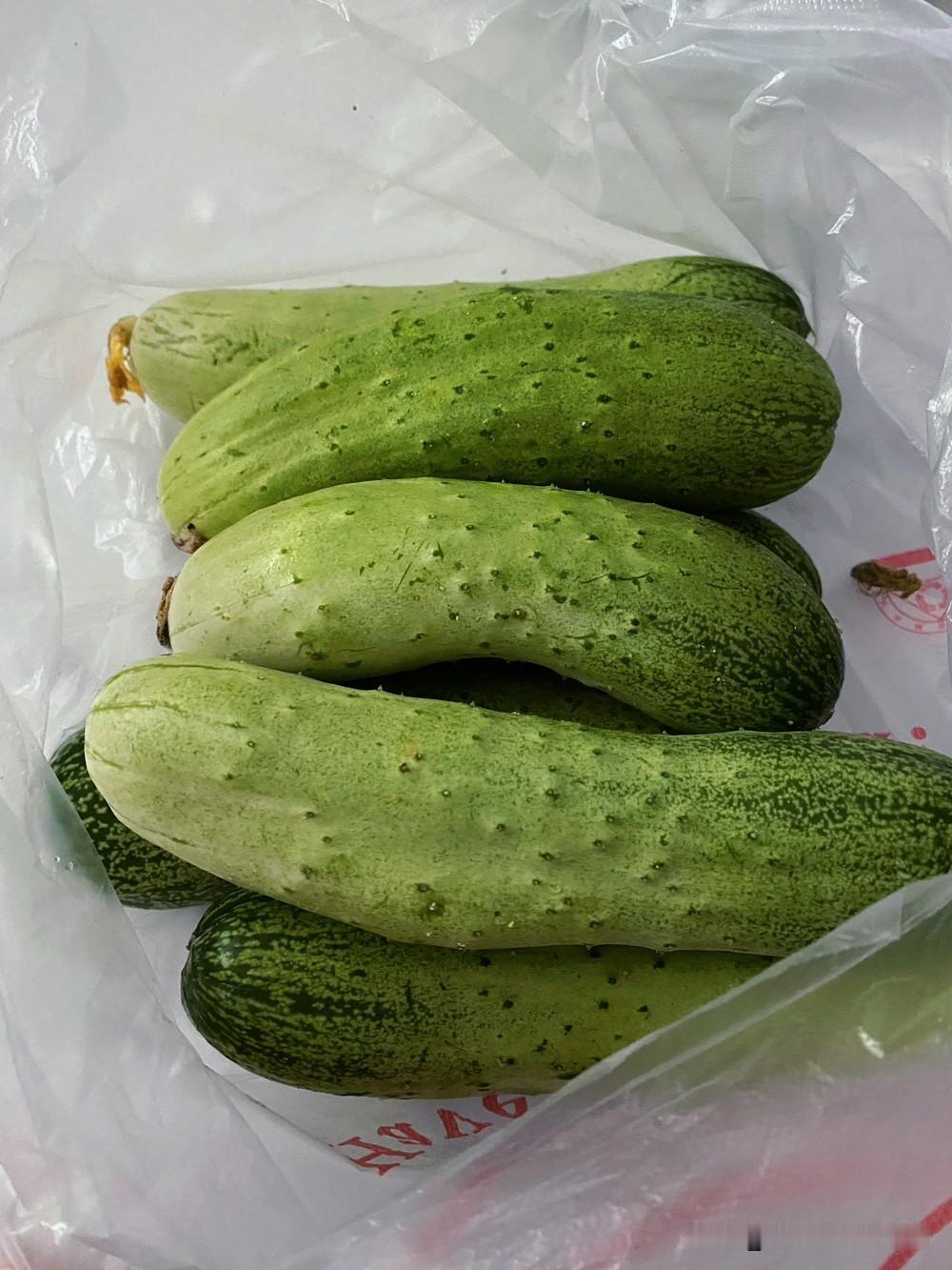 看看沈阳市场的蔬菜价格。
韭菜：2元
豇豆：4元
土豆：1.5元

油麦菜：4元