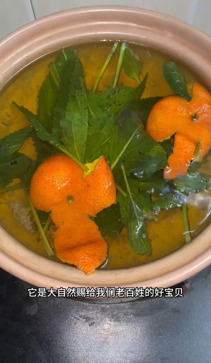 谁能想到路边那棵丑得像癞蛤蟆皮的野草，学名竟然叫这么仙气的“雪见草”？
以前见一