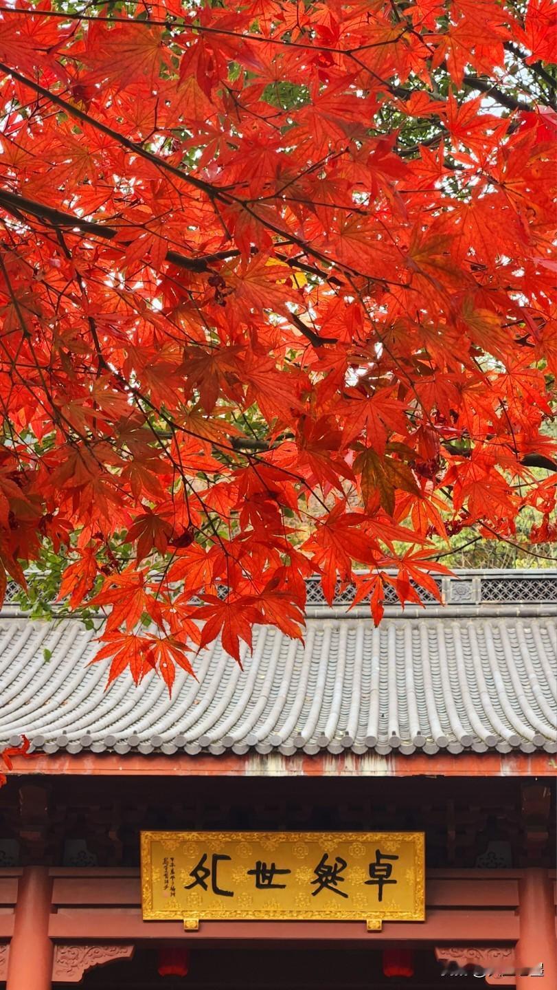 红黄警告:西湖的秋天(11月下旬至12月中旬)
1，永福寺
2，大佛寺遗址
3，