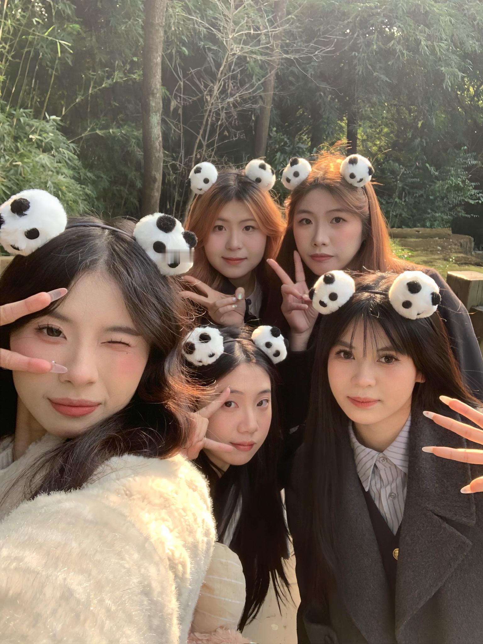 掉落一张合照🍬 