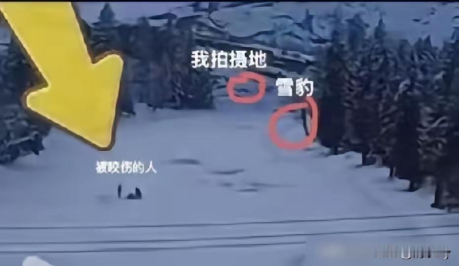 都说安全第一，旅游的时候更要注意安全，
这在新疆的阿勒泰，女游客竟然被雪豹咬伤了