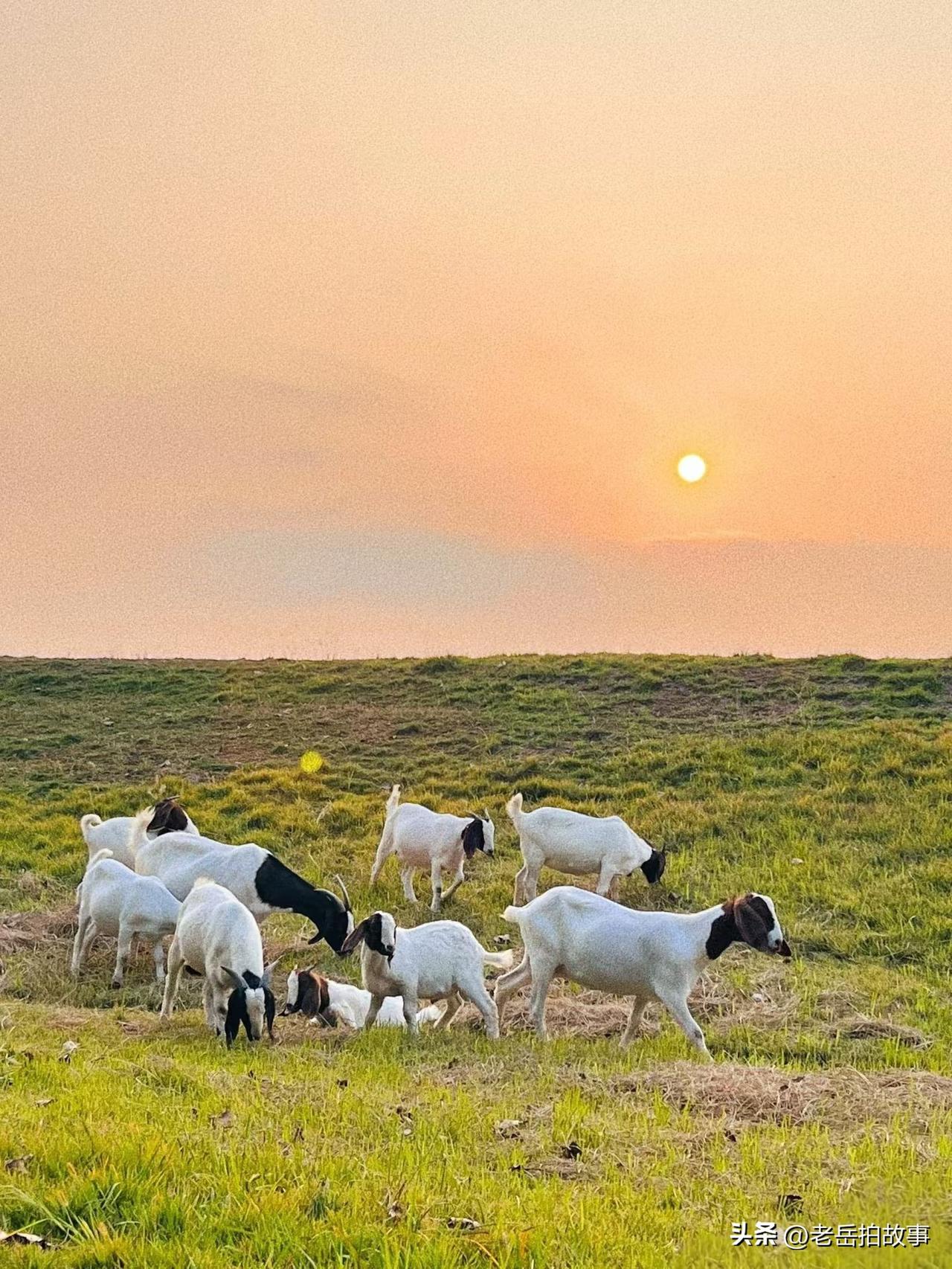 小时候经常听老人们讲，人是先造死后造生，一个人能够活多久都是命中注定的，而对于死