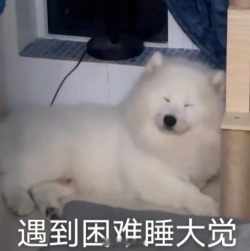 晚间闲聊～

打排位时队友选出哪个英雄会让你觉得“这把稳了”？[呆无辜]

#兔