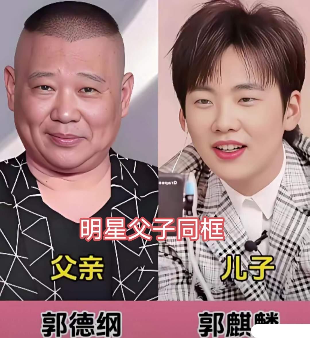 谢贤和谢霆锋父子
郭德纲和郭麒麟父子
刘丹和刘恺威父子
三位实力派明星父子，都是