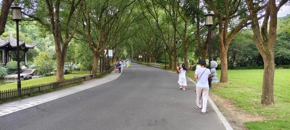 炒股走的是逆行的路         三点后，游客们都回去了，这个时候，股民的我来