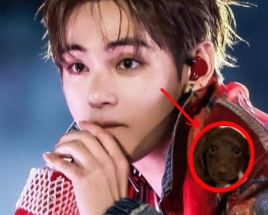 【tg】puppy🥺🫳🏻🫳🏻🫳🏻 