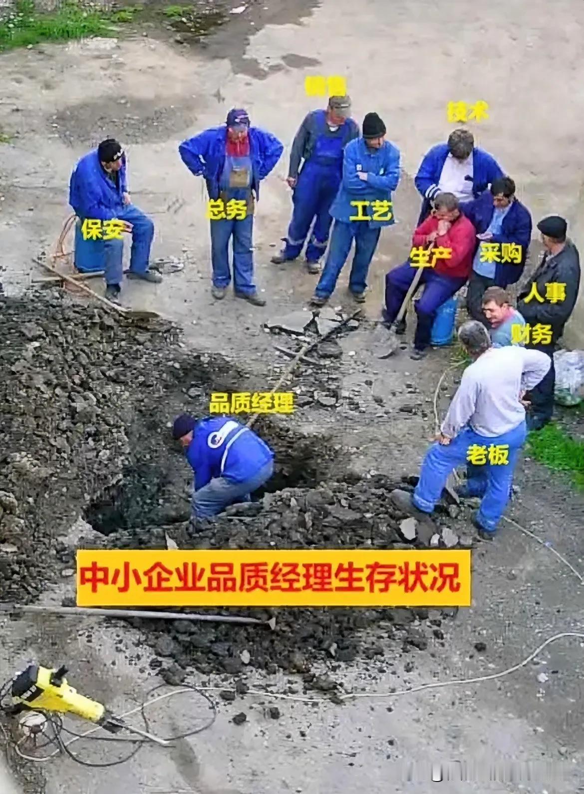 据说中小企业品质经理生存现状如图所示。说说你们的看法
