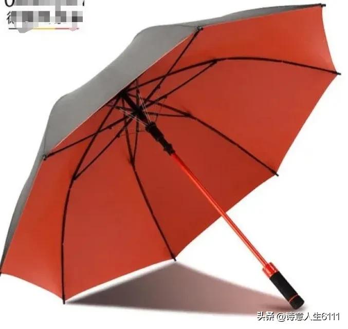 “所谓知己，不就是一把伞吗？晴天收起，雨天才为你豁然开放。”——余光中