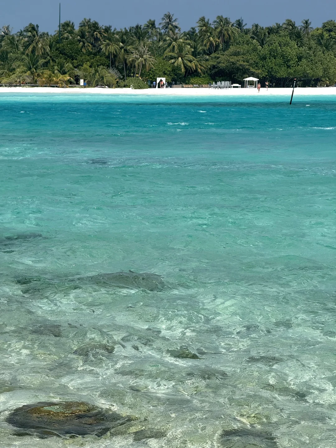 迪富士！有没有人来为你发声啊…