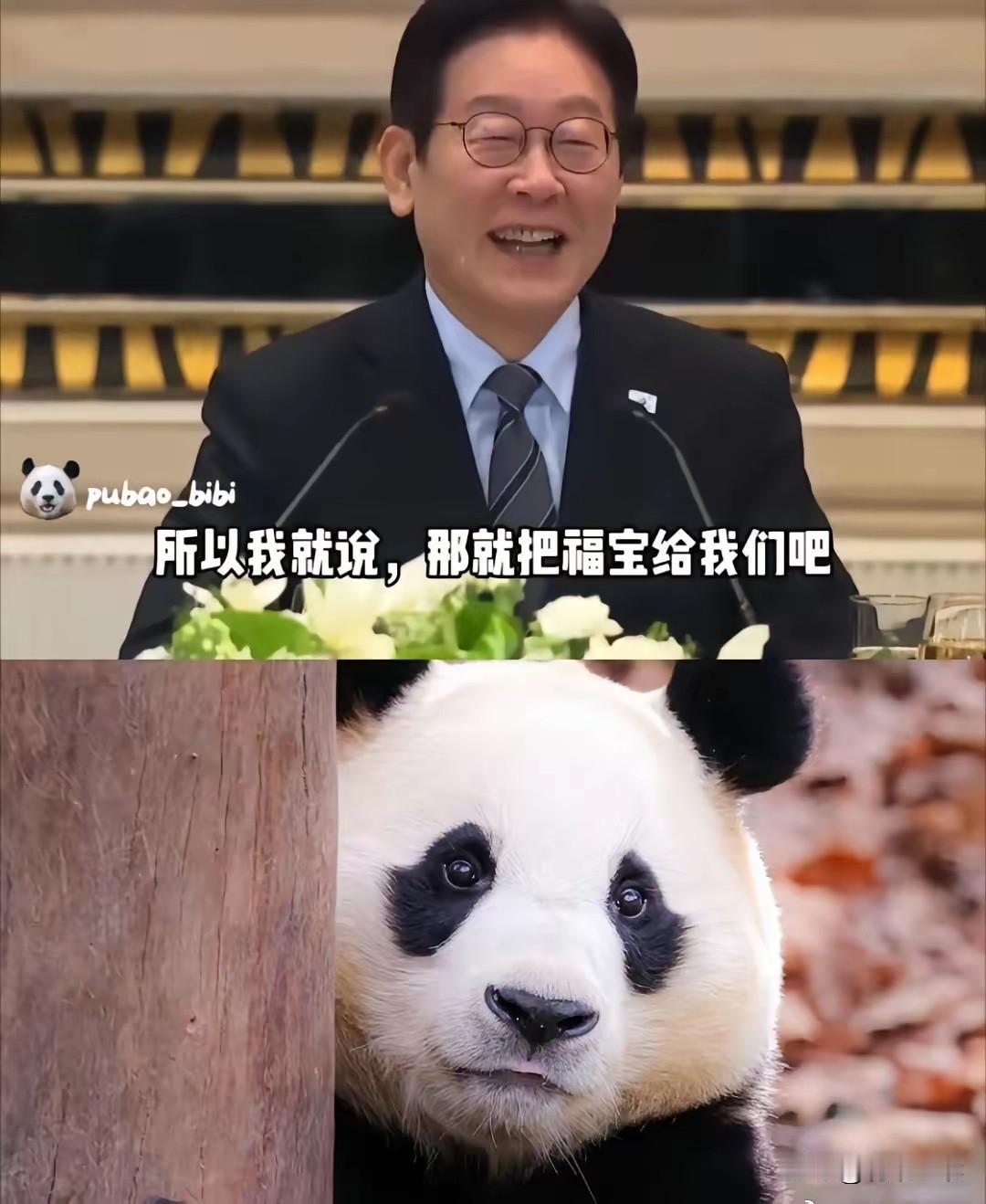 韩国总统李在明访华，聊到动情处，眼睛笑得眯成一条缝，半开玩笑半认真地说：“如果没