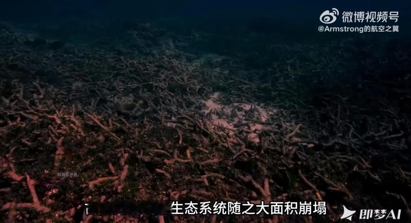 做科普视频不用愁！赋能创作者高效出片，人类进化史视频干货满满，用直观画面讲清人类