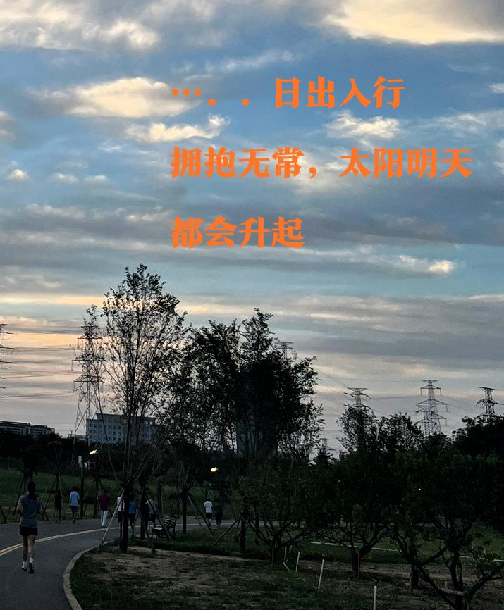 草不谢荣于春风，木不怨落于秋天，在自然落幕间，日将落的时分吟起李白的《日出入行》