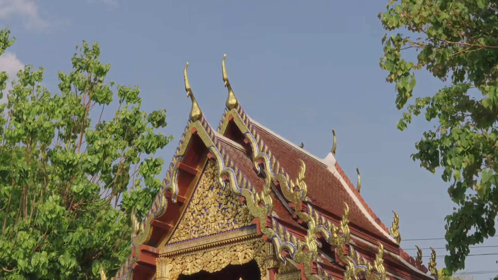 环游世界的综艺来了原来旅行综艺可以这么有电影感被《他们仨环游世界》狠狠拿捏！跨代