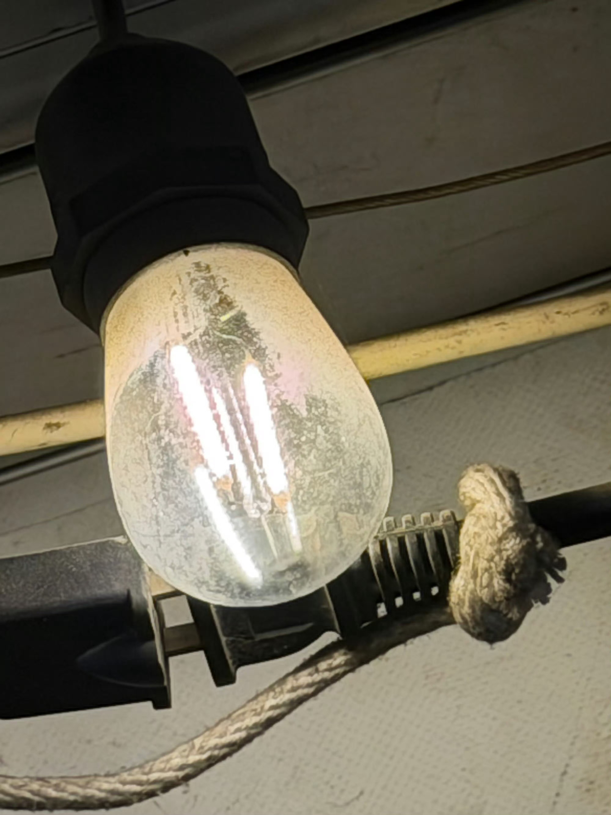 哥哥你是不是听到我说想你了😭😭😭 