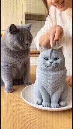 两脚兽真不是人啊，
我都吓得一激灵，
看把阿灰吓得，
都有心理阴影了！
[酷拽]