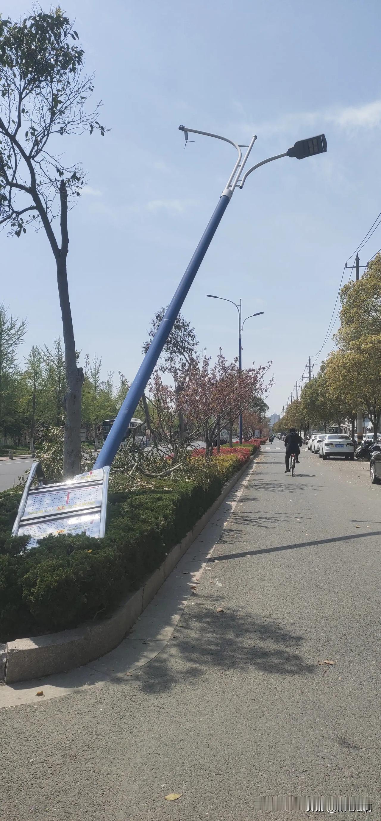 阜宁县城河西路路灯杆子不知道被谁撞了，要是倒下来砸到人就不得了了，希望看到尽快处
