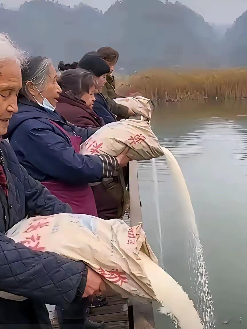 啧啧，看看这些不懂得珍惜粮食的人，居然不知道经过加工的大米，是没有生命力了。像这