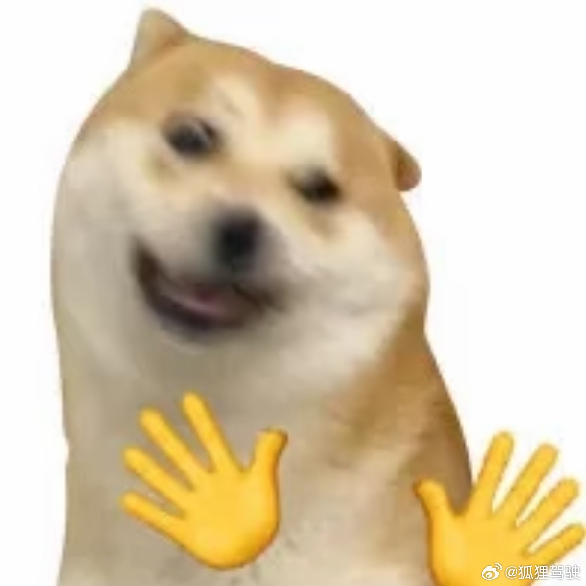 中午不睡 下午崩溃午睡时间超1小时死亡风险增加30%！！！不知道啊，一觉睡到中午