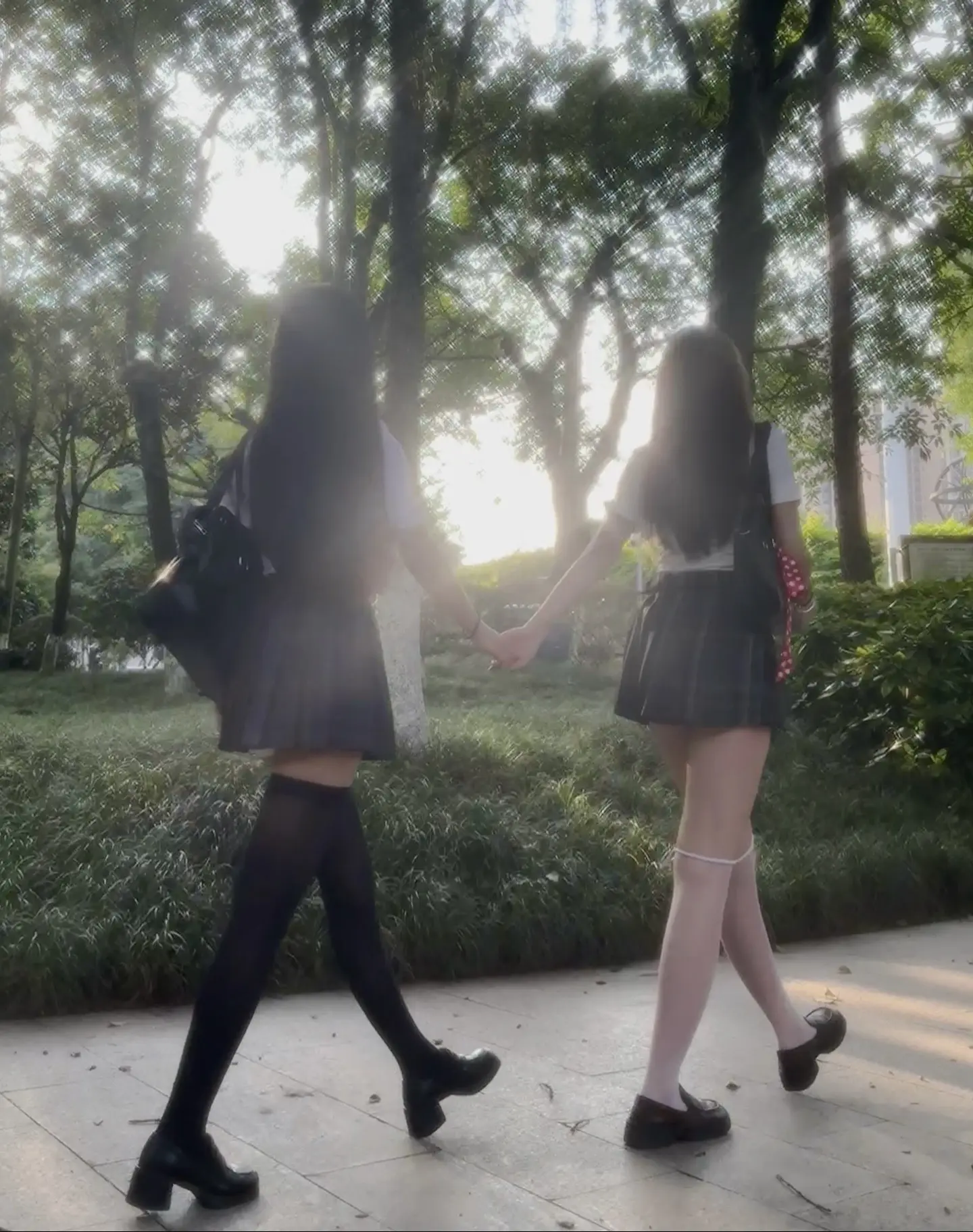 阳光明媚有你有我