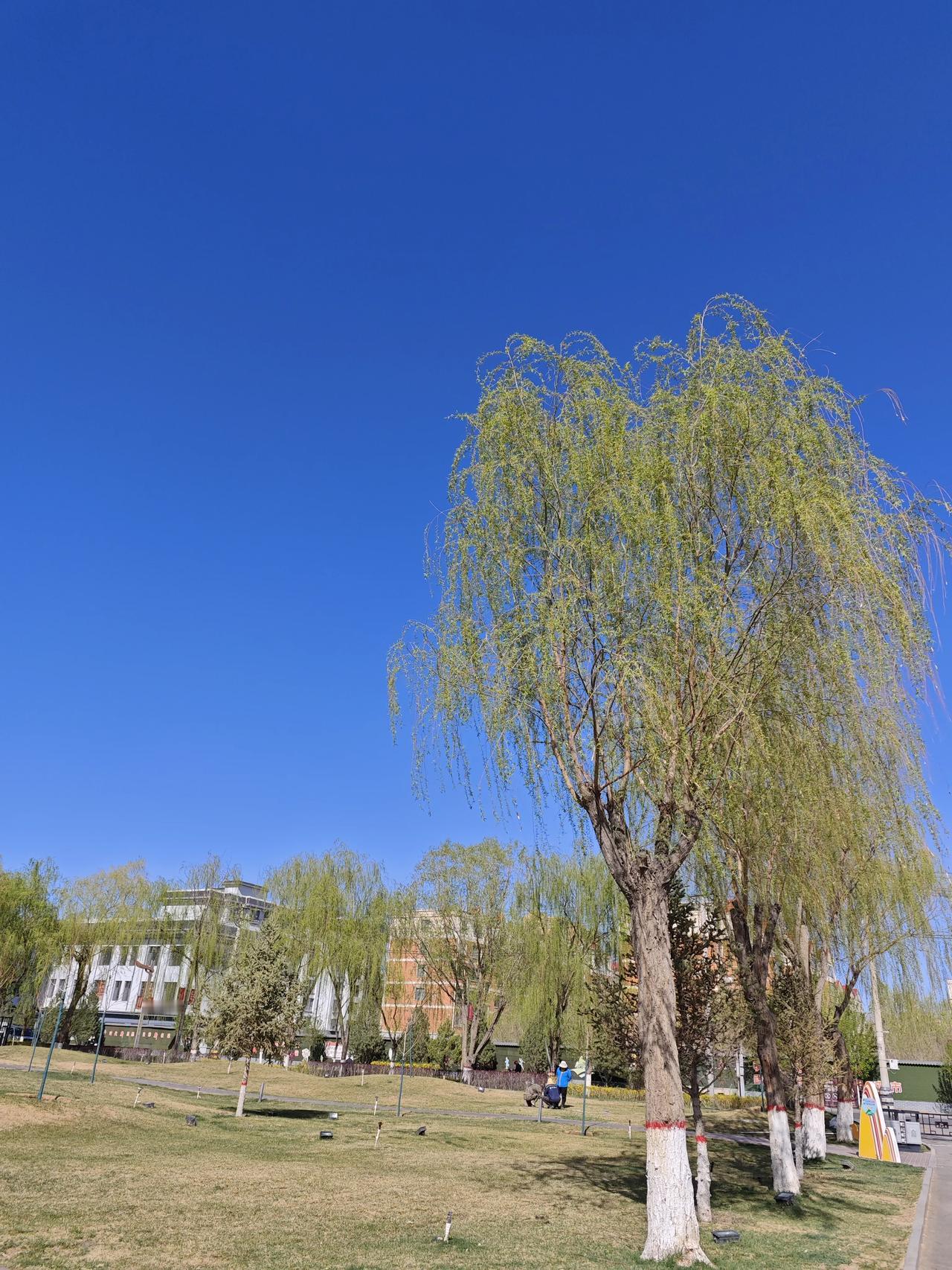 横批：家和万事兴！