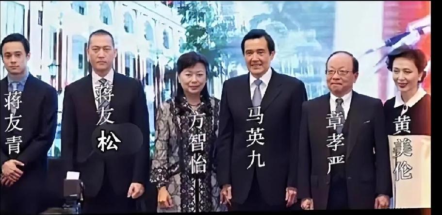 台湾创投圈的大佬蒋友松最近砸出了一个让整个岛内政坛炸锅的决定，他要强行搬走两口停