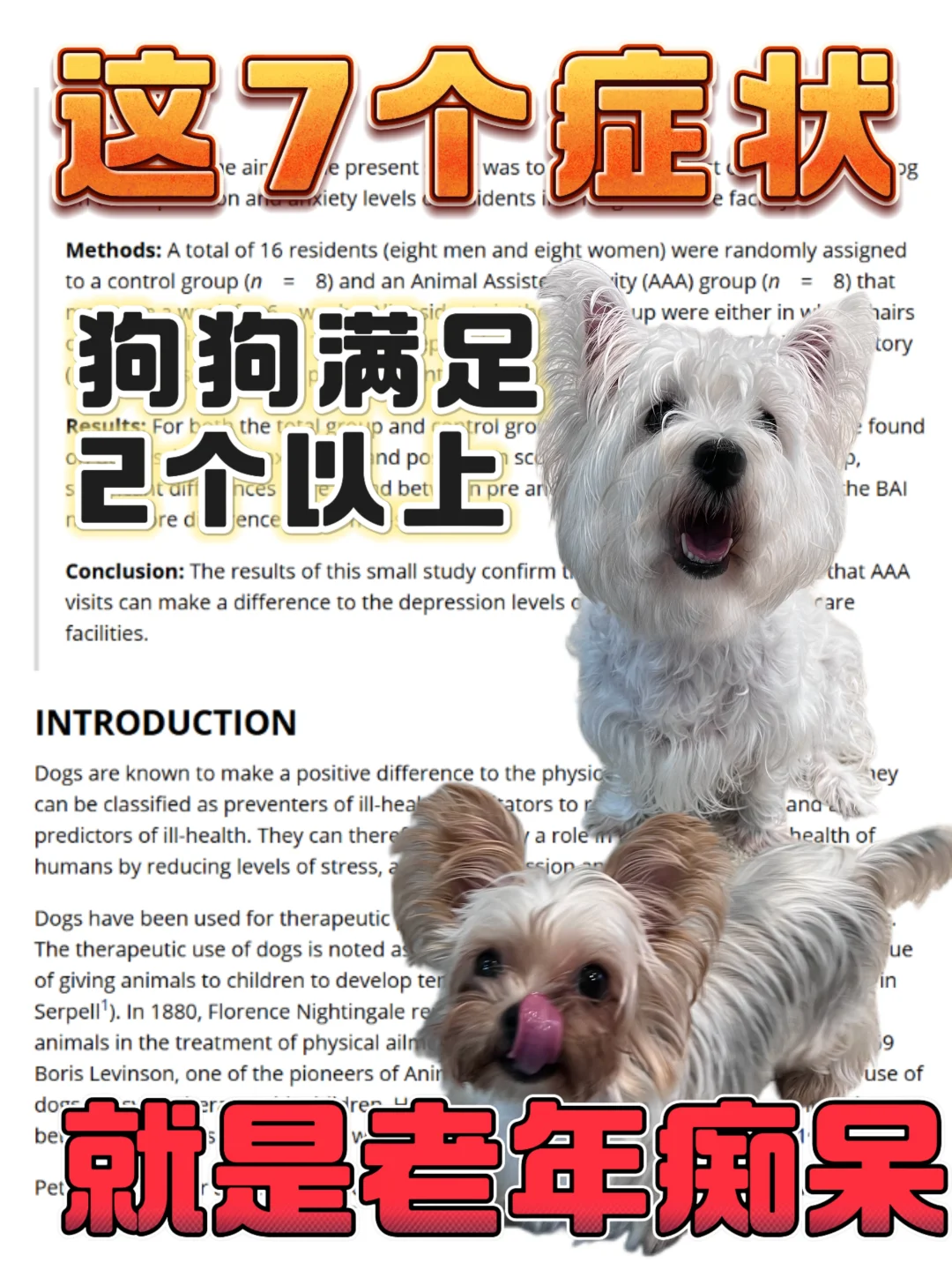 7岁+狗狗这7个衰老信号，越早知道越好！