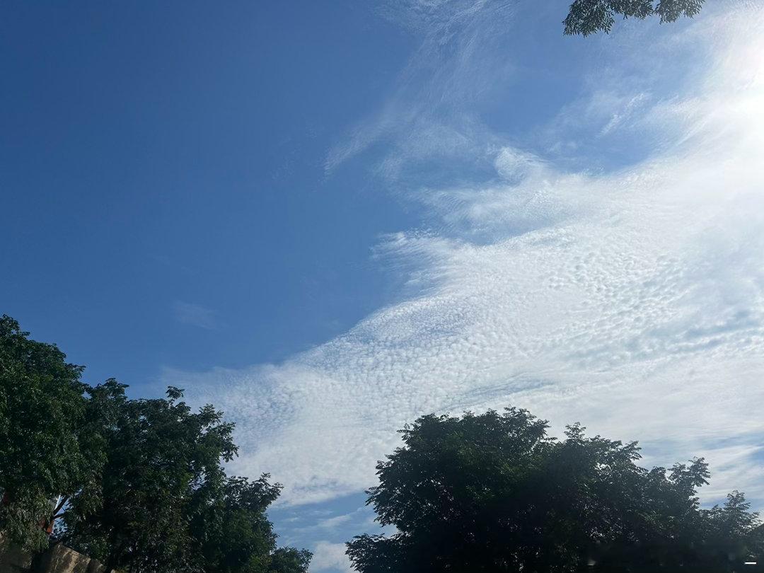 今天又是艳阳高照的一天。周末愉快。早安