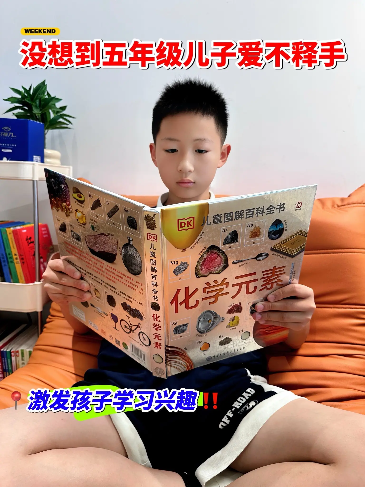 不愧是DK专为中小学生准备的化学科普书！本书共208页，按照元素周期表...