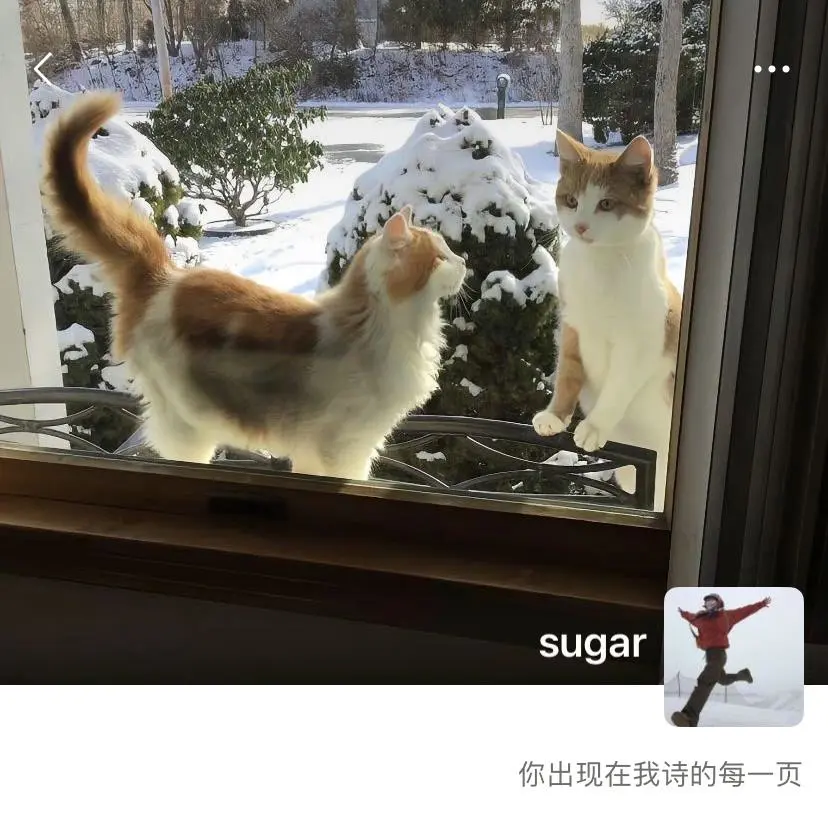 crush的个性签名是不是在暗示我