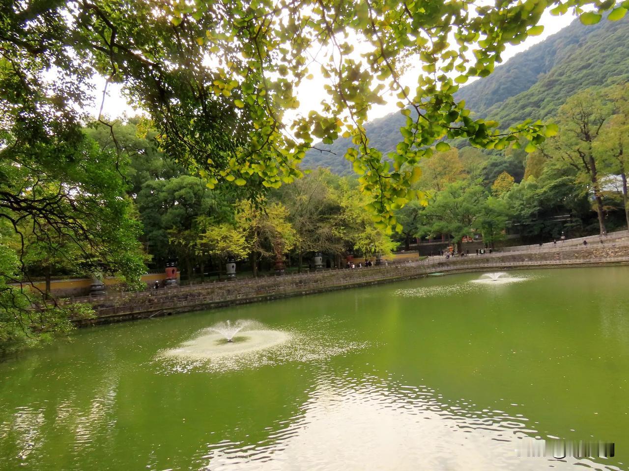 秋叶落清池，静观人间景。
天童寺