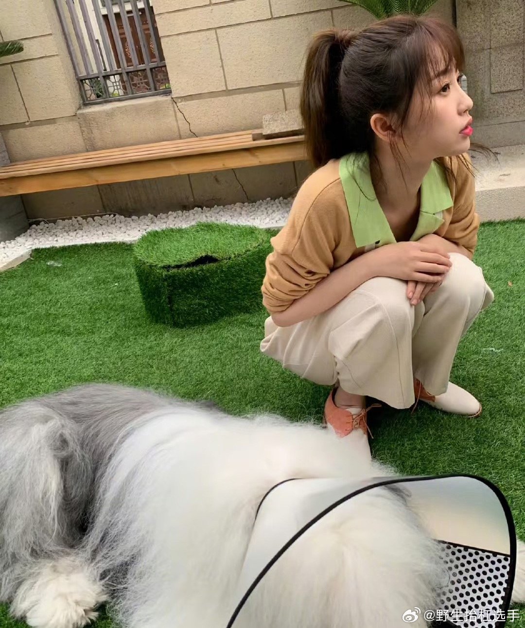 二狗去世二狗去世月光变奏曲中的二狗去世了，希望在汪星可以快快乐乐的！🥹月光变奏