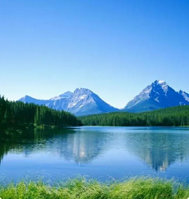 修性调气极简实践清单（3个5分钟日常动作）

5分钟静心观息
找一处安静的地方坐