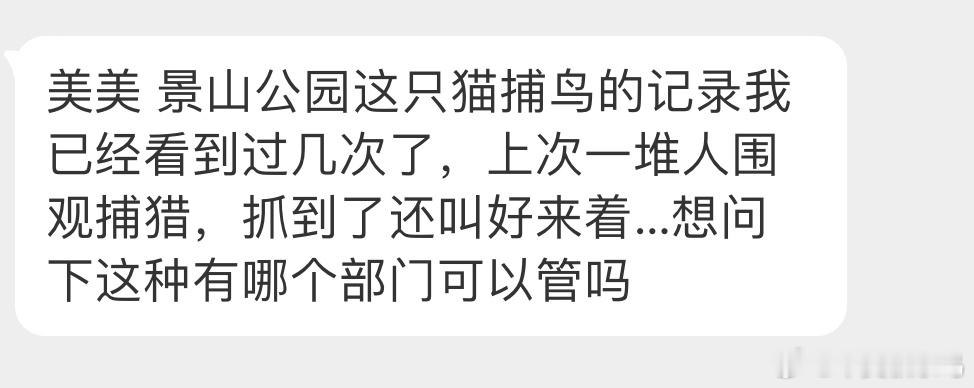 #野生动物与流浪猫# 倒在流浪猫爪下的【珠颈斑鸠】鸟是野生动物，但流浪猫不是 它