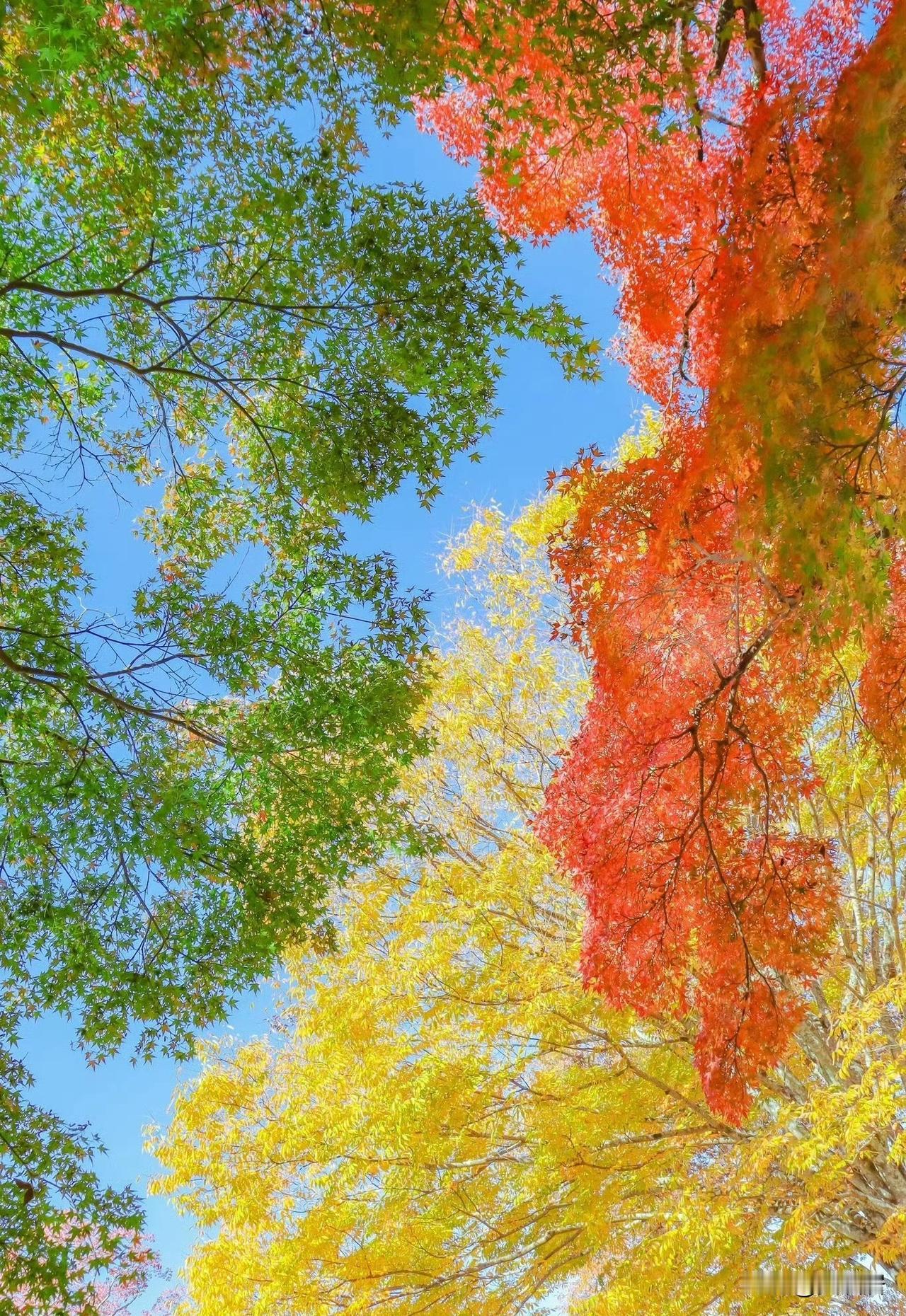 【少与人纠缠，多看看大自然】一张图片三个季节