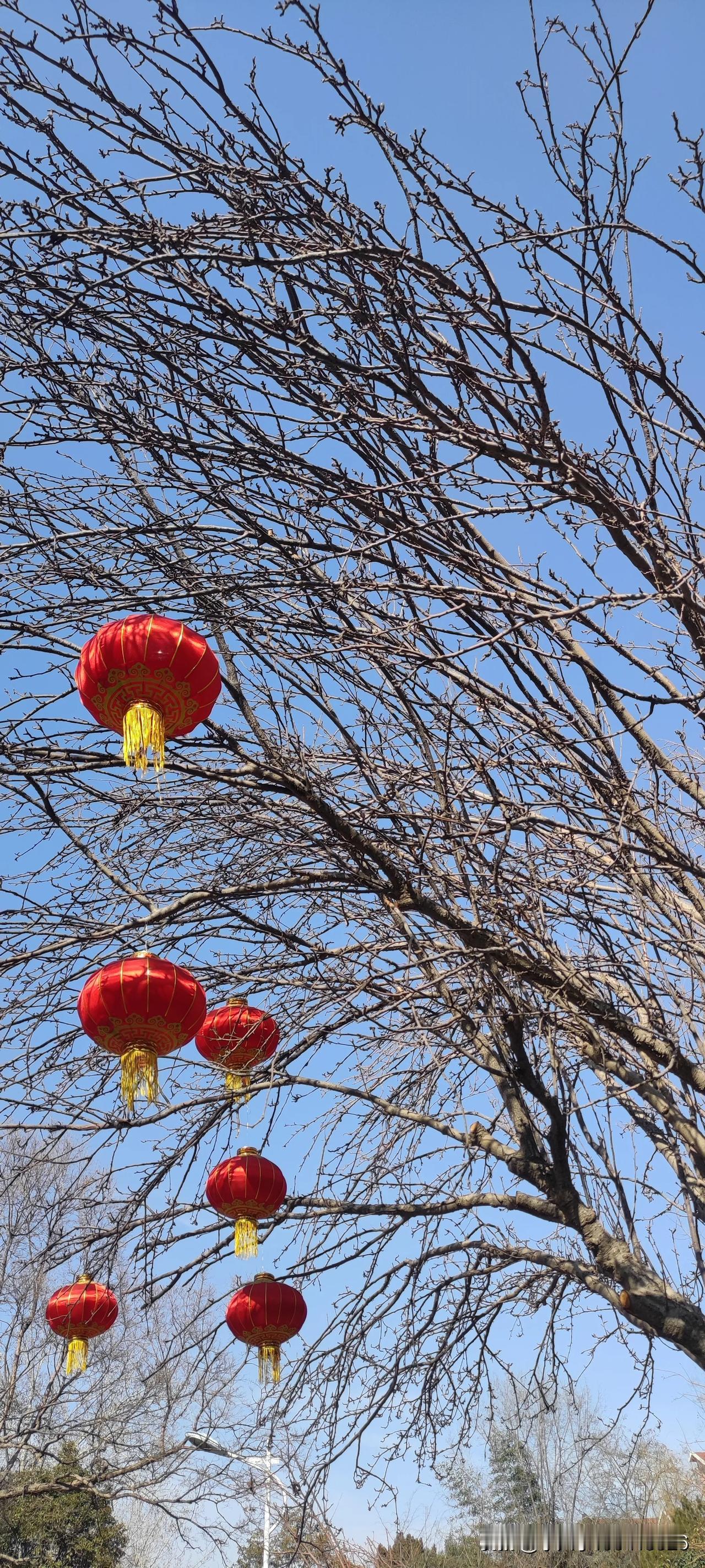 说一句带“酒”诗句千里莺啼绿映红，水郭山村酒旗风。。。